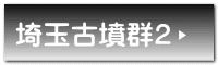 埼玉古墳群2