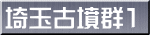 埼玉古墳群1