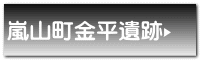 嵐山町金平遺跡