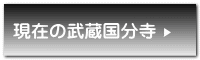 現在の武蔵国分寺