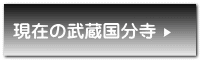 現在の武蔵国分寺 