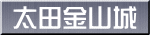 太田金山城