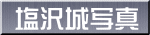 塩沢城写真