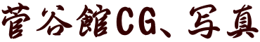 菅谷館CG、写真