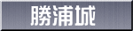 勝浦城