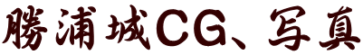 勝浦城CG、写真