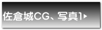 佐倉城CG、写真1