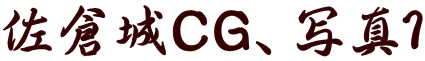 佐倉城CG、写真1