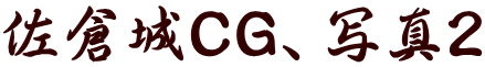 佐倉城CG、写真2