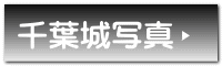 千葉城写真