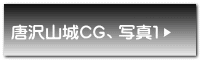 唐沢山城CG、写真1