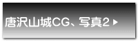 唐沢山城CG、写真2