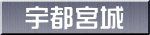 宇都宮城