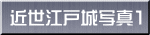 近世江戸城写真1