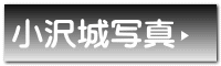 小沢城写真