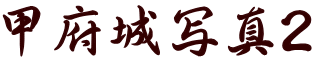 甲府城写真2